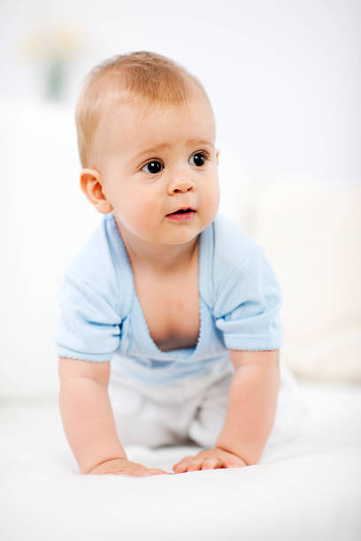 istock Little baby boy crawling. 184885098
