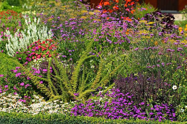 Wonderful herb and flower garden