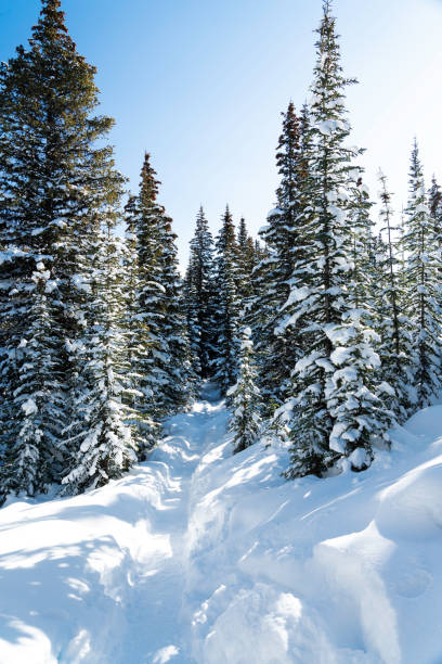 Winter hiking with cleats to Peyto Lake overview, Icefields Parkway, Alberta, Canada
