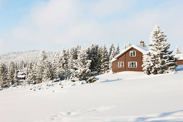 chalé de madeira na floresta - winter chalet snow residential structure - fotografias e filmes do acervo