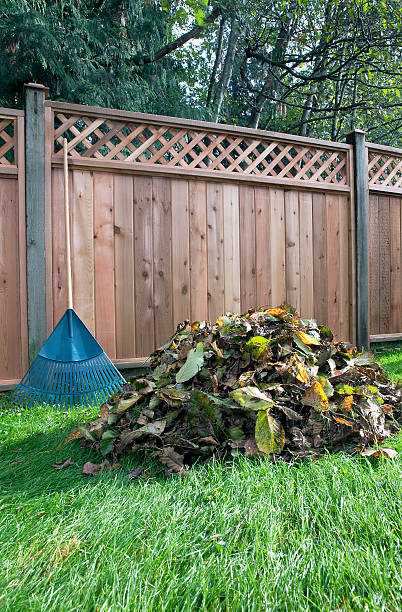 istock Pile of leaves and rake in backyard. 184885291