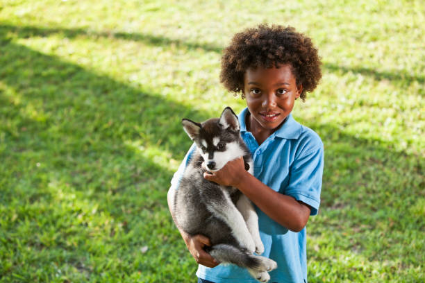 istock Little boy holding husky puppy 184885452