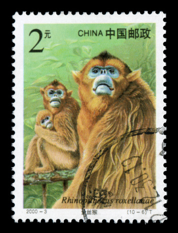 China postage stamp: 2000,Golden Monkey in China.