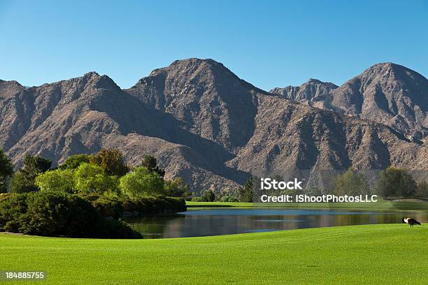 Golf Landscape Stock Photo - Download Image Now - Indian Wells - California, California, Golf Course