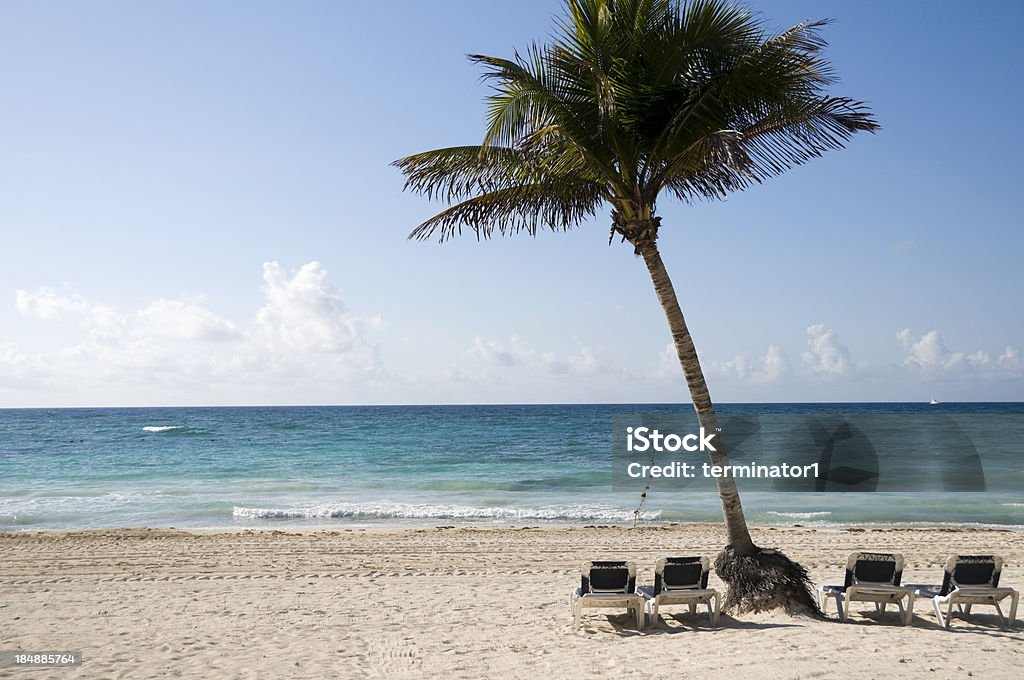 Тропический рай Пляж - Стоковые фото Без людей роялти-фри