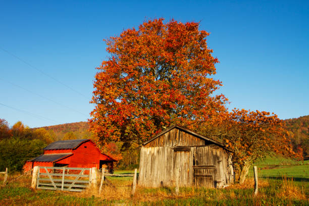 istock Rural autumn scene in North Carolina 184885883