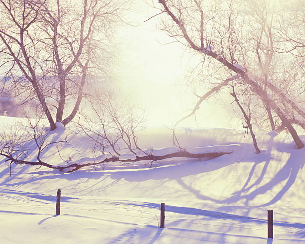 Morning fog clears over the snow-covered mountain forest. Sunlight illuminates the trees. A road in the snow in the foreground