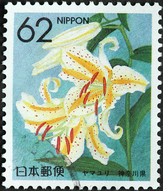 istock spotted orchid on a Japanese postage stamp 184886563