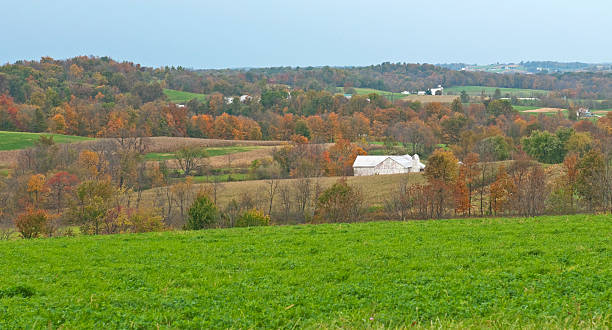 istock Autumn landscape of northeastern Ohio 184886915