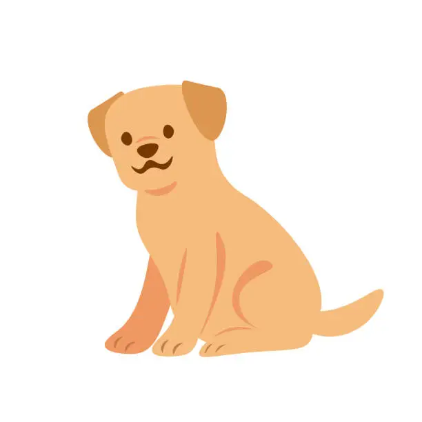 Vector illustration of Cute Dog.