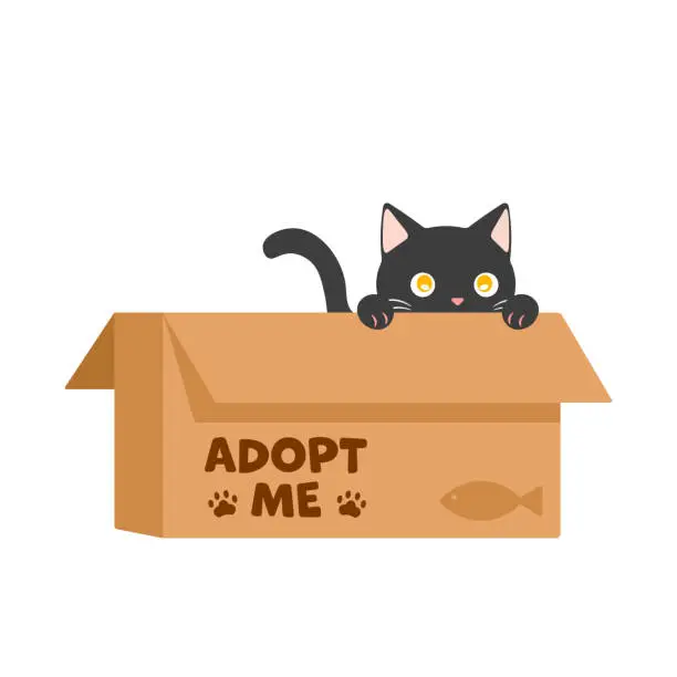 Vector illustration of Adopt Me, Cute Black Cat in a Cardboard Box.