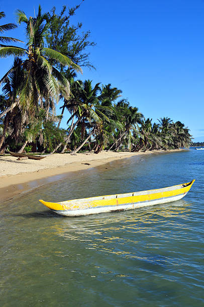 tropical beach, canoe and coconut trees Vohilava, Île Sainte Marie / St Mary island, Madagascar: canoes and tropical beach on the east coast of the island - photo by M.Torres analanjirofo region stock pictures, royalty-free photos & images