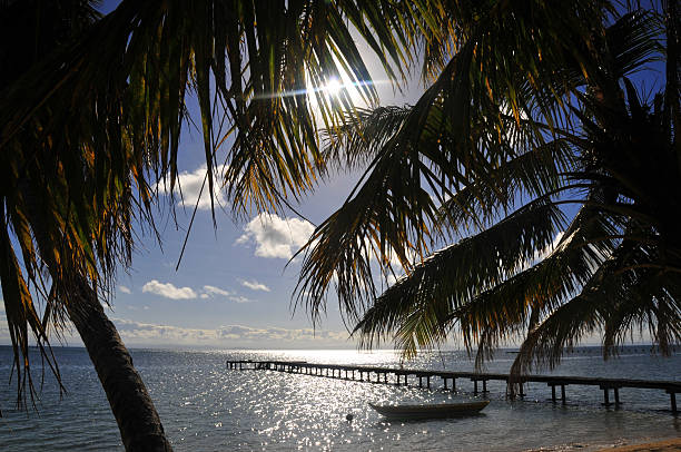 tropical beach and jetty Vohilava, Île Sainte Marie, Madagascar: pier and coconut trees silhouettes - photo by M.Torres analanjirofo region stock pictures, royalty-free photos & images