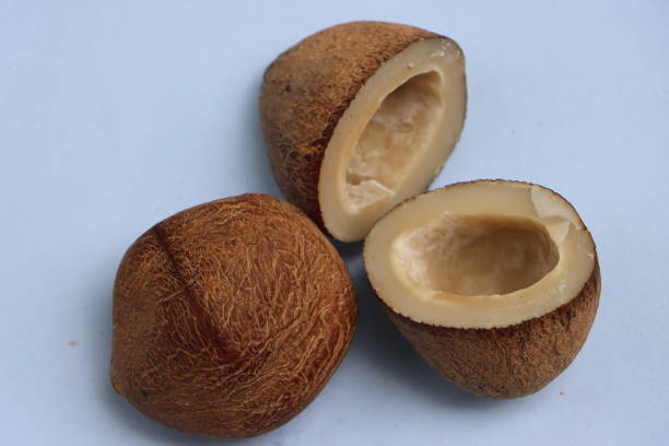 istock Kopra, dry coconut from coconut palm, stone tree, food ingredient 1849007522