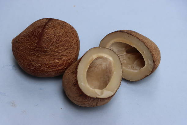 Kopra, dry coconut from coconut palm, stone tree, food ingredient