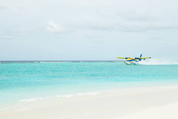 istock Sea plane from the beach background 184901242