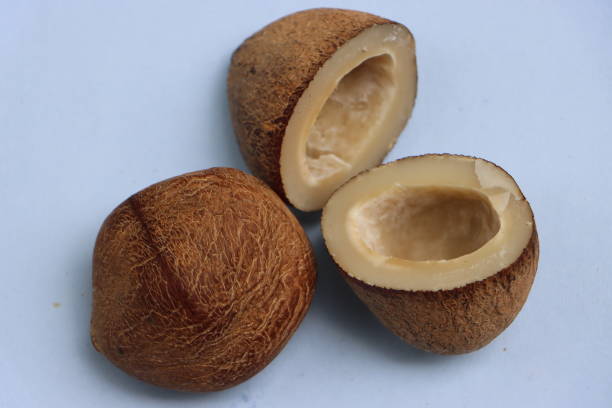 istock Kopra, dry coconut from coconut palm, stone tree, food ingredient 1849015329