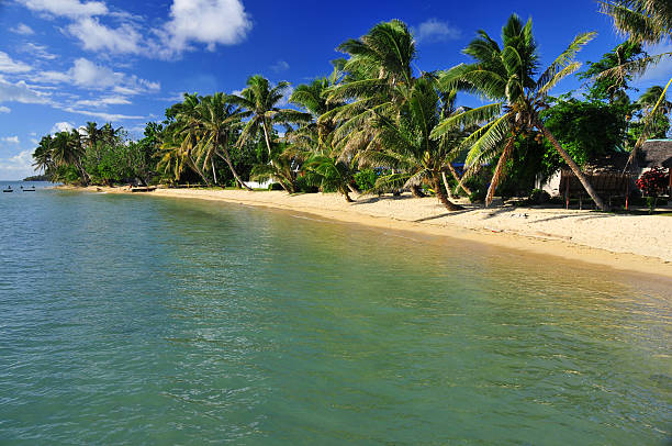 Coconut tree lined tropical beach - Indian Ocean Vohilava, Île Sainte Marie / St Mary island Madagascar: coconut trees and huts on the beach front - photo by M.Torres analanjirofo region stock pictures, royalty-free photos & images