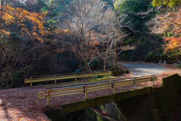istock Autumn atmosphere in the mountain 1849016402