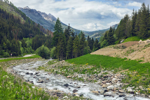 istock mountain river in the Dolomites 1849027911