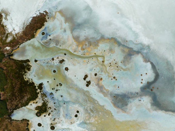 istock Natural shapes and textures 1849028959