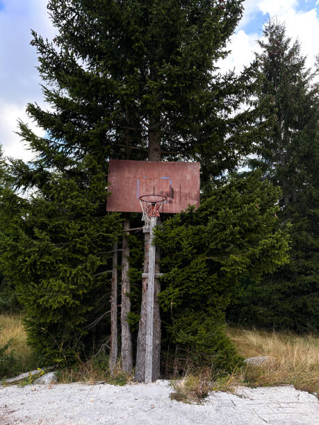 istock An old abandoned basketball hoop in park, spruce tree as a background 1849030263