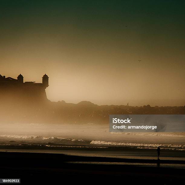 Forte Di São Francisco Xavier Fare Queijo - Fotografie stock e altre immagini di Ambientazione esterna - Ambientazione esterna, Castello, Distretto di Oporto - Portogallo