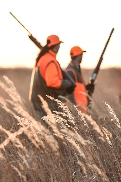 Man and Woman in Field Hunting A man and woman in the field with shotguns and blaze orange hunting. plateau photos stock pictures, royalty-free photos & images