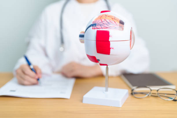 istock Doctor with human Eye anatomy model with magnifying glass. Eye disease, Refractive Errors, Age Related Macular Degeneration, Cataract, Diabetic Retinopathy, Glaucoma, Amblyopia, Strabismus and Health 1849042031