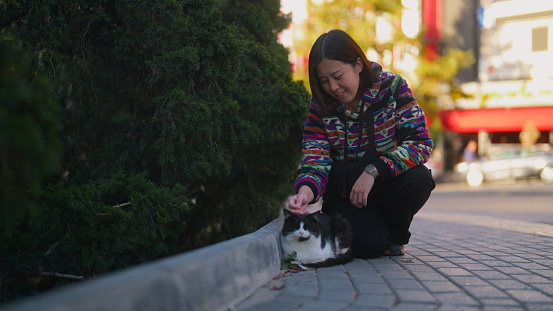 An Asian female tourist is petting a stray cat in a street in the city.