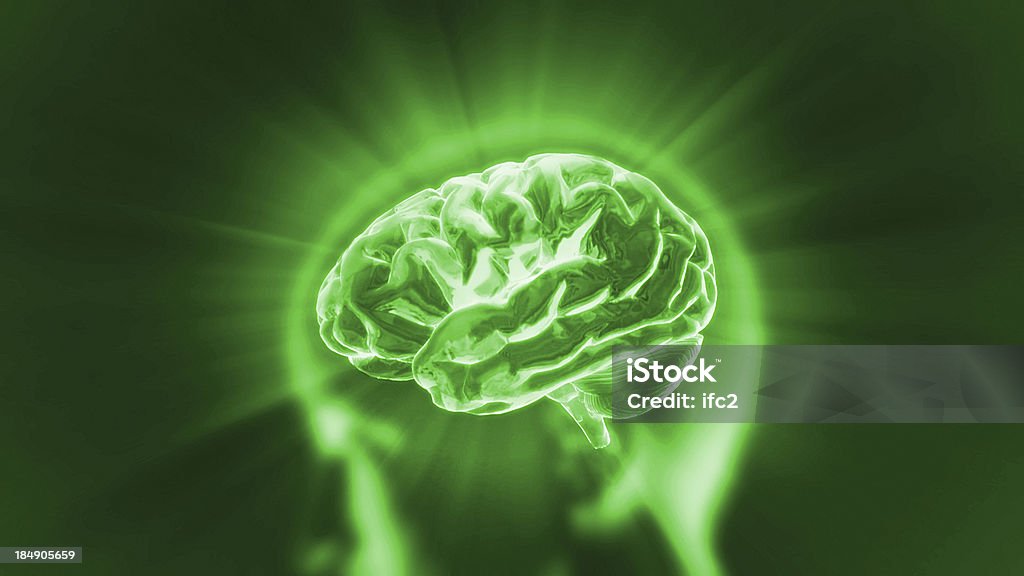 brain green flare X-ray Brain to represent the theme biology, intelligent,technology Abstract Stock Photo