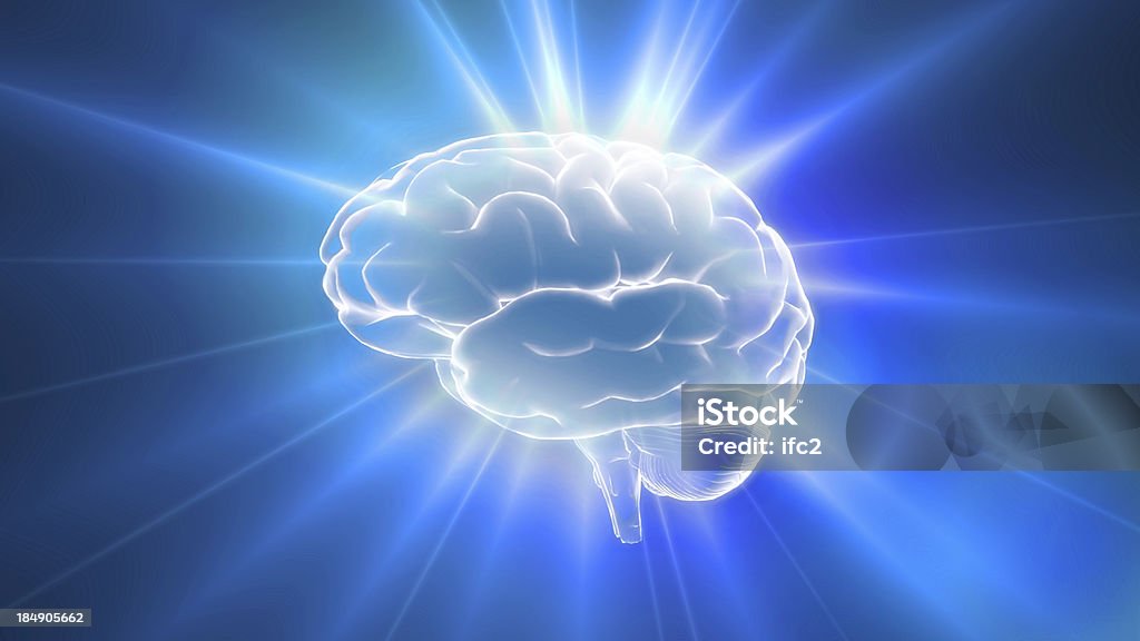 Pure Crystal Brain Pure Crystal Brain is the best way for any medical theme.IQ concept, the idea of CPU processing . Anatomy Stock Photo