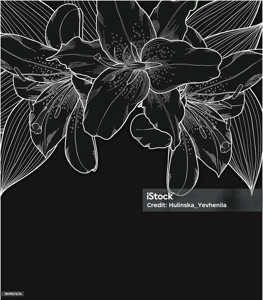 beautiful black-and-white background with lilies, hand-drawn. beautiful black-and-white background with lilies, hand-drawn. Many similarities in the profile of the artist Flower stock vector