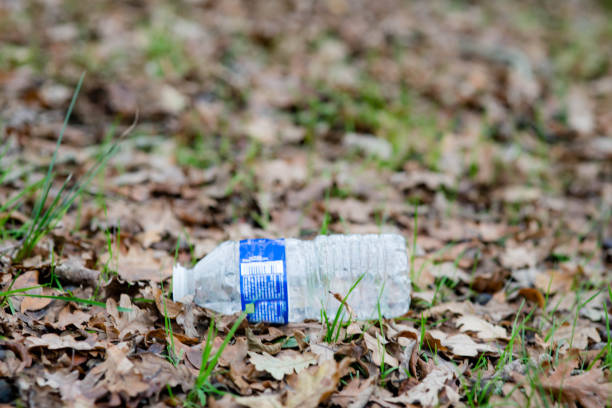 istock Plastic bottle thrown into nature instead of recycled waste 1849077232