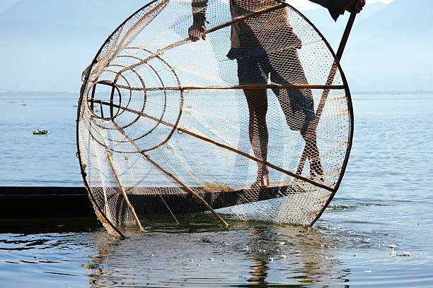 istock Fisherman catches fish for food 184907912