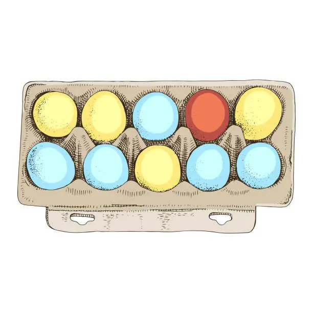 Vector illustration of Colored Easter eggs in cardboard pack