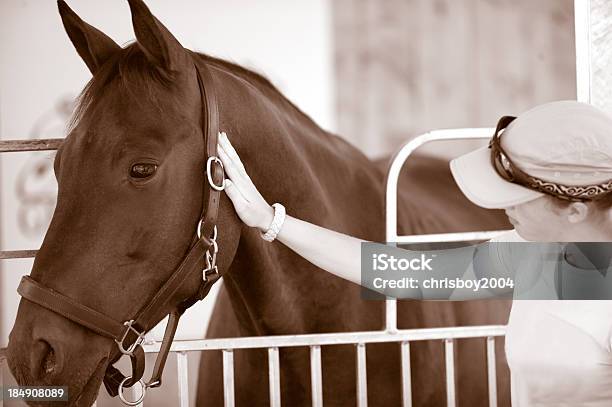 Cavallo E Fantino - Fotografie stock e altre immagini di Accarezzare un animale - Accarezzare un animale, Adulto, Ambientazione tranquilla