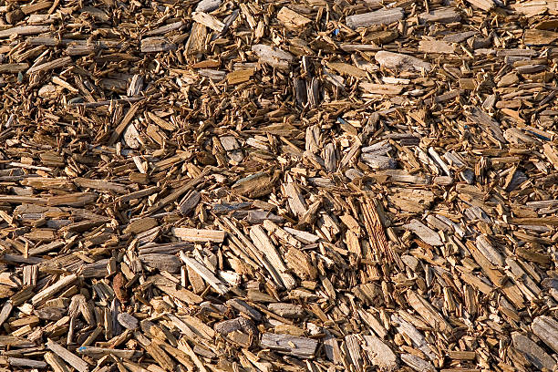 istock pile of woodchips 184908640