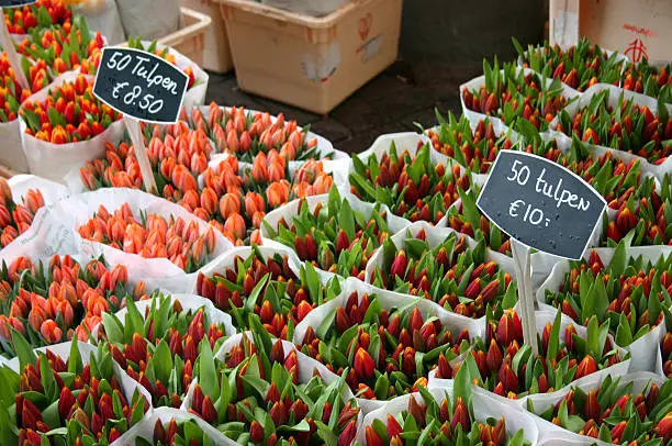 "Picture of a typical flower stand taken in Amsterdam, 2006."