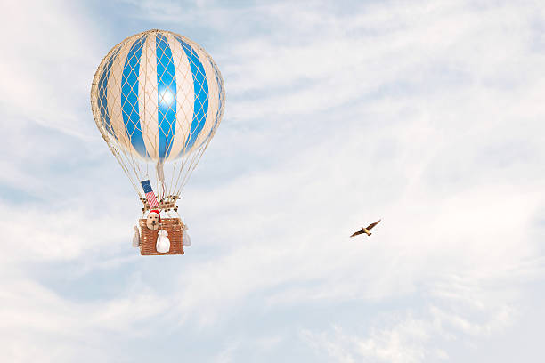 Readington, NJ, USA - July 30, 2011: Since its debut in 1978, the RE/MAX balloon has made thousands of appearances at ballooning festivals, sporting events, and charitable functions around the world. This Remax Logo balloon is floating through crystal blue skies on a picture perfect day at the Readington Balloon Festival