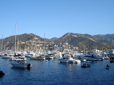 Lots of people moving thru harbor on Avalon Bay at Catalina Island