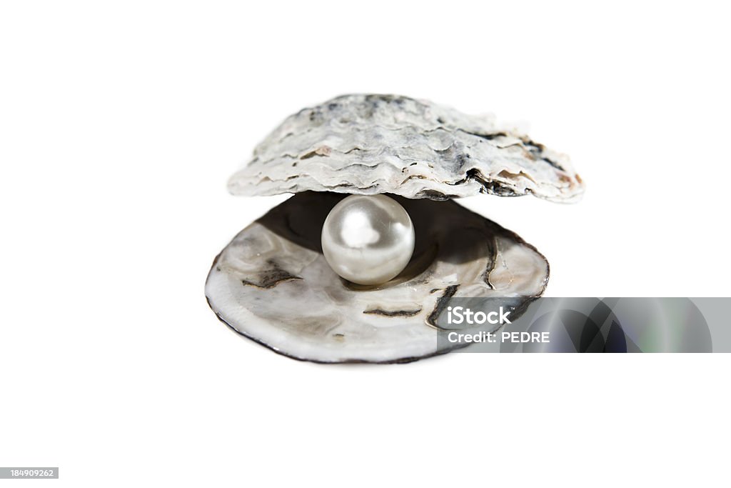 Pearl - Foto stock royalty-free di Perla - Ostrica