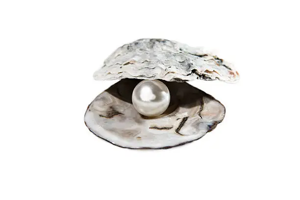 Pearl in Oyster Shell with white background