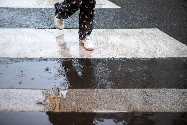 istock Person walking over a zebra crossing in the rain 1849098096