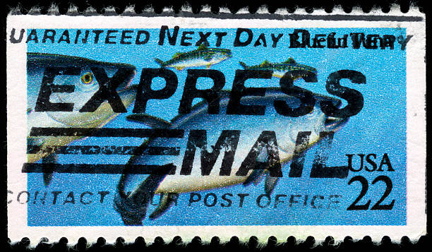 istock United States Postage Stamp 184910147