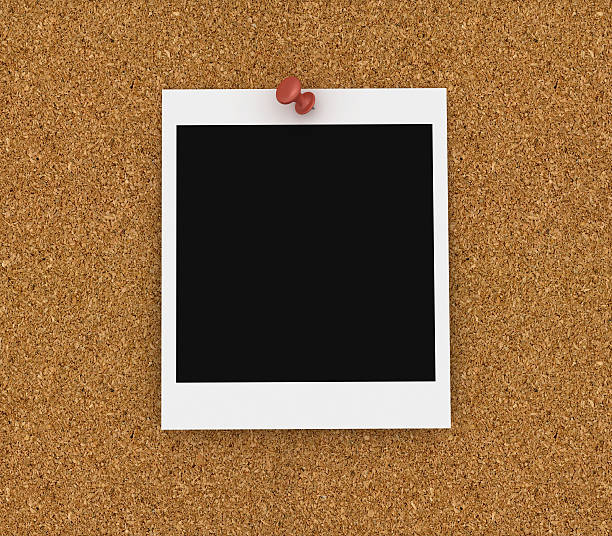 corkboard 즉시 인쇄 픽쳐 - photo album bulletin board photography instant camera 뉴스 사진 이미지