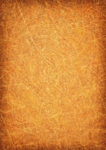 istock High Resolution Animal Skin Parchment Wizened Mottled Vignette Grunge Texture 184910693