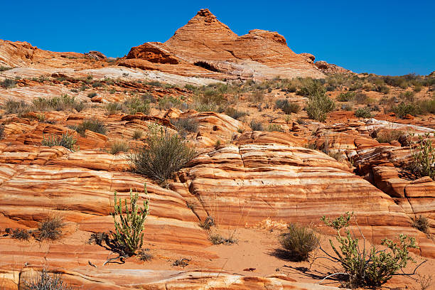 A natural arch seen in Valley of Fire during a hot day in the hot desert landscape in Nevada, USA.