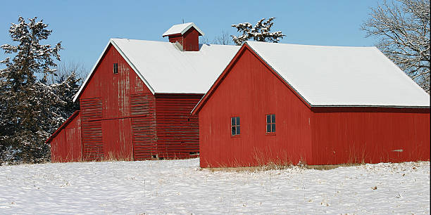 istock red barn with white snow and green trees 184911107