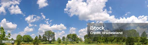 Sonnigen Sommertag Panorama Stockfoto und mehr Bilder von Baum - Baum, Blatt - Pflanzenbestandteile, Blau